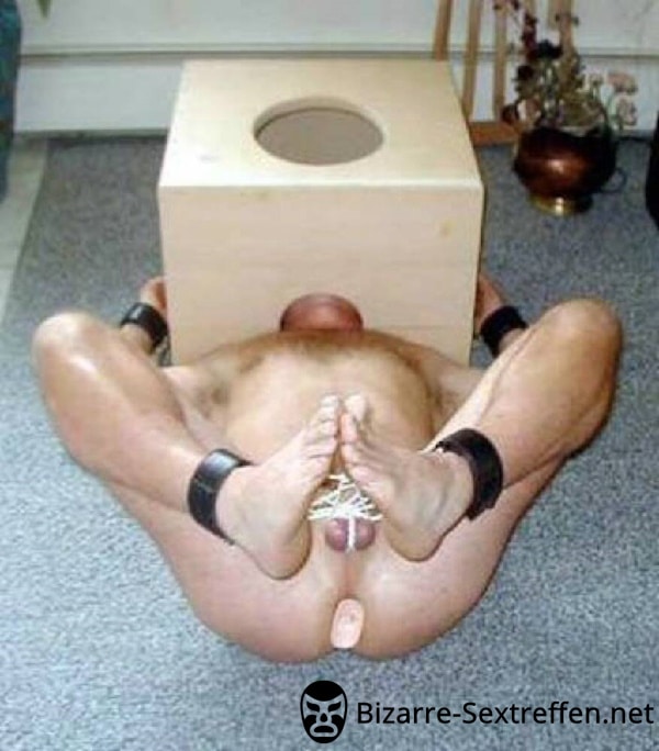Domina sucht Kaviar-Sklave für Toiletten-Erziehung